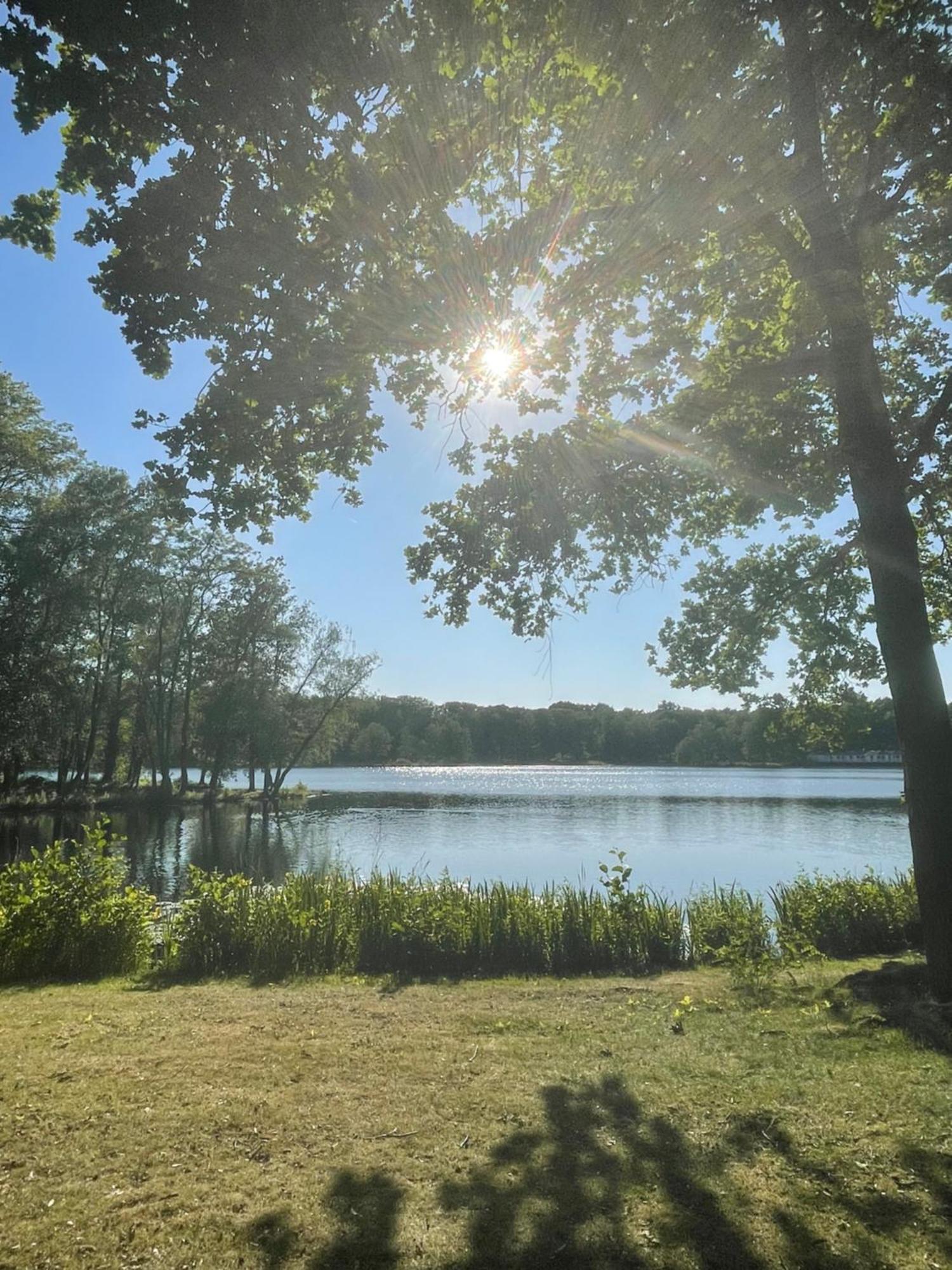 Boshuisje Pinus Sonnevijver Residences Ланакен Екстериор снимка