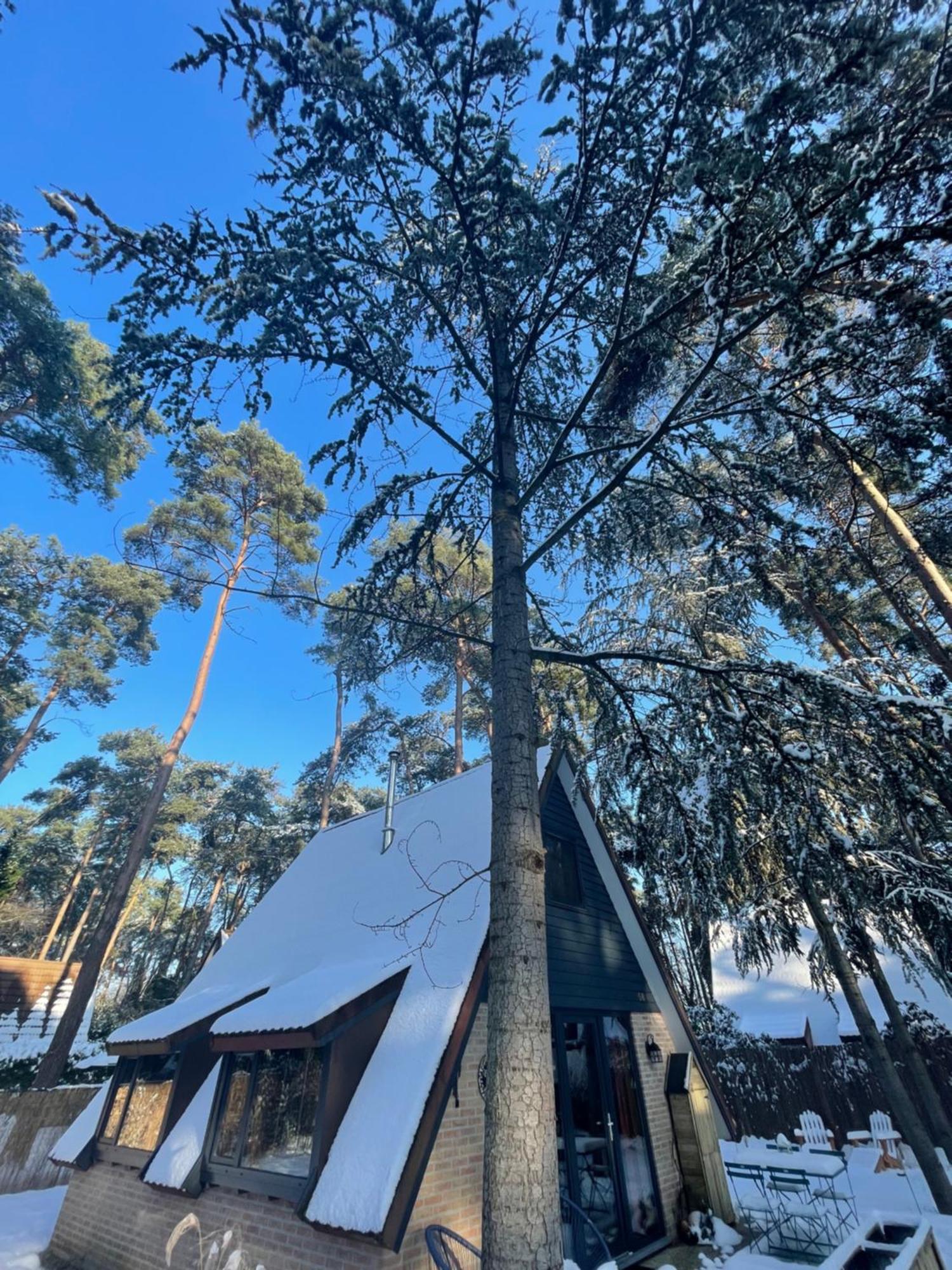Boshuisje Pinus Sonnevijver Residences Ланакен Екстериор снимка